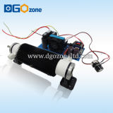 10g Double Air Cooled Ceramic Ozone Tube Generator Parts for Water Treatment