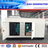 100kVA/80kw Biogas/LNG/CNG/Natural Gas Generator with Soundproof Container