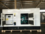 Standby Power 200kVA Cummins Diesel Generator with Silent Canopy