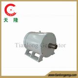 Ff-5kw/250rpm/DC240V Rare Earth Permanent Magnet Generator (PMG/PMA/Hydro)