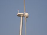 Wind Power 30kw Wind Turbine Generator Set