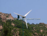 2000W Windmill Turbine Generator (HF4.0-2KW)