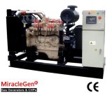 LPG Generator Set 10-100kw