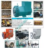 Fujian Yilong Electrical Machinery Co., Ltd.