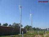 5 Kw Wind Power Generator