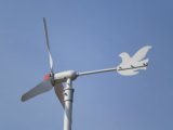 Wind Turbine (300w-50kw)