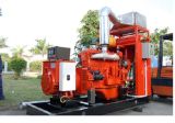 Biogas Generator Set (Kdgh)