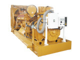 Natural Gas Generator 800kw /1000 KVA