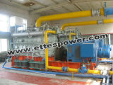 400kw/500kVA Biomasss Generating Set