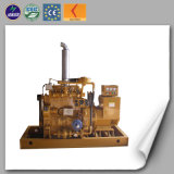 Lhng100 Natural Gas Generator of Electric Generator with CE Approved