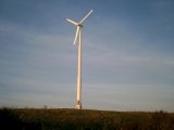 10kw Wind Generator System / Wind Generator /Wind Turbine (FD)