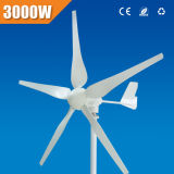 3kw Wind Generator (PWT3000)