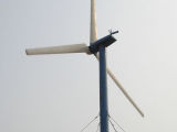 Wind Generator (BL-5000W)