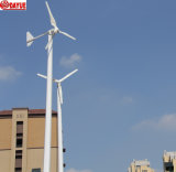 1kw Horizontal Wind Turbine Generator /Wind Power Turbine