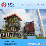 Palm Plantation Captive Power Plant Equipment Supplier