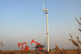 20kw Family Using Wind Power Generator (HY-20)