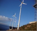 Wind Turbine 2k (WINON 2000W)