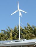 600W Wind Generator