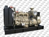 Diesel Generator Set Powered By Cummins Engine (FCG330)