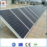 2014 Cheap Price of The 5000W Solar Panel Made in China