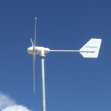 300W Small Wind Turbine (FD2-0.3/8)
