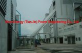 Engineering for Biomass Power Plant