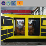 CE Approved 300kw Natural Gas CNG LNG Biogas Generator
