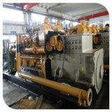 Standard Assembly Biogas Power Plant 250kw Biogas Engine Generator for Household and Animal Waste