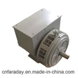 Cummins Diesel Alternator 415V Generators Wuxi 24 Months Warranty Double Bearing Diesel Alternator 16kVA (FD1D2-4)