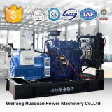 Yangchai Engine Powered Emergency Generator