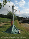 600W Vertical Wind Generator Grid Tied System for Home Use (200W-5KW)