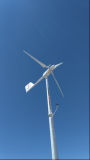 Electric Windmill Generator System