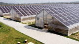 Photovoltaic Agriculture Canopy