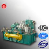Biomass Powered Extraction Condensing Steam Generator