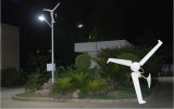 Wind Generator with LED Light Hybrid System 400W