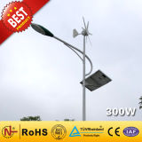 Wind Solar Hybrid Power System (300W)
