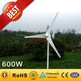 600W Wind Generator From China Manufacturer (Wind Turbine Generator 90W-300KW)