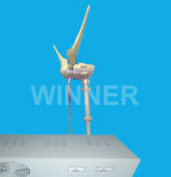 Wind Power System (MNS-2kW)