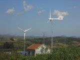 Horizontal 1kw Wind Turbine Generator with CE