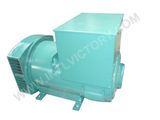 3kw~50kw Stc Brush Synchronous Alternator with CE/CIQ