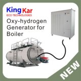 Water Electrolyzer Oxyhydrogen Generator 10 Years Lifetime Past CE