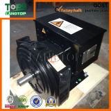 Copy Stamford/Brushless AC Generator/Alternator