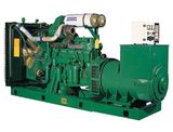 Mtu&Volvo Stamford or Leroy Some Series Diesel Generator Set