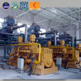 Factory Price 10kw -1000kw Biogas Cogeneration Biogas Generator for Sale