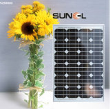 60W Mono Solar Panel/Module for Solar Power System (SNM-M180(72))