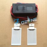 110V 7g Ozone Generator Used with Ceramic Ozone Plate