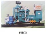 50kw Syngas/Producer Gas, Biomass Generator Set
