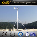 300W Horizontal Axis Wind Turbine Generator Fo Home Use (MINI)
