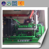 Green Energy 100-400 Kw Biomass Gas Generator CE ISO Certificated China Manufacture Price
