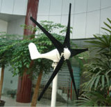 300W 5 Blades Wind Turbine